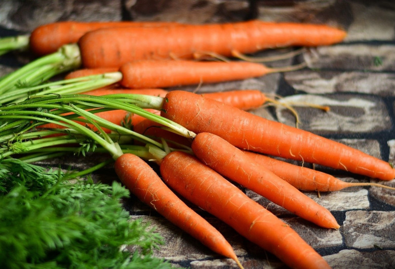 Are carrots good for clearance puppies